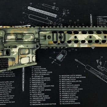 AR 15 Woodlan